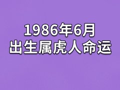 1986年6月出生属虎人命运