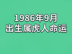 1986年9月出生属虎人命运