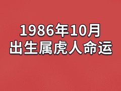 1986年10月出生属虎人命运