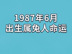 1987年6月出生属兔人命运(农历、爱情、事业运势解析)