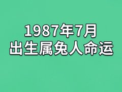 1987年7月出生属兔人命运(农历、爱情、事业运势解析)