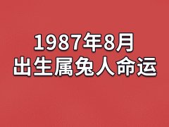 1987年8月出生属兔人命运(农历、爱情、事业运势解析)