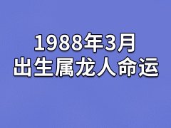 1988年3月出生属龙人命运