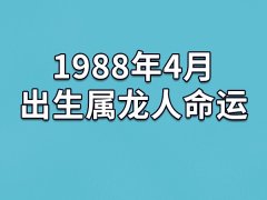 1988年4月出生属龙人命运