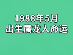 1988年5月出生属龙人命运