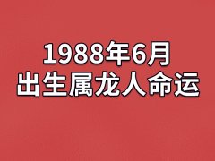 1988年6月出生属龙人命运