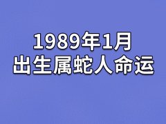 1989年1月出生属蛇人命运