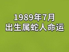 1989年7月出生属蛇人命运