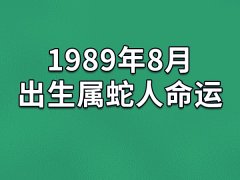 1989年8月出生属蛇人命运