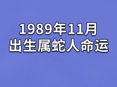 1989年11月出生属蛇人命运