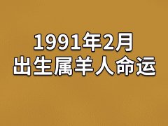 1991年2月出生属羊人命运