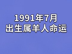 1991年7月出生属羊人命运