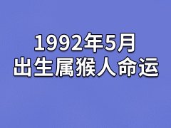 1992年5月出生属猴人命运