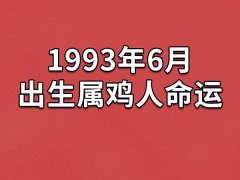 1993年6月出生属鸡人命运