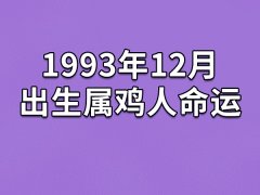 1993年12月出生属鸡人命运