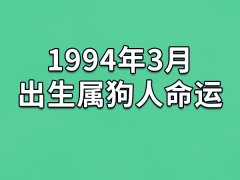 1994年3月出生属狗人命运