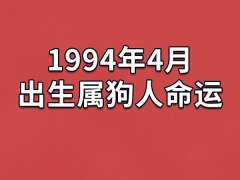 1994年4月出生属狗人命运(农历、爱情、事业运势解析)