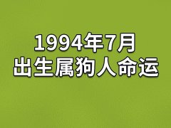 1994年7月出生属狗人命运(农历、爱情、事业运势解析)