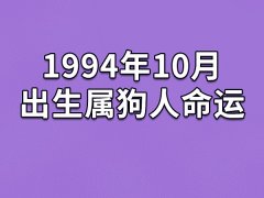 1994年10月出生属狗人命运