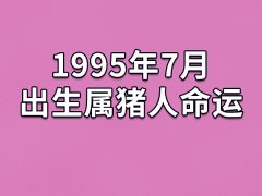 1995年7月出生属猪人命运