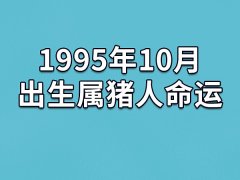 1995年10月出生属猪人命运