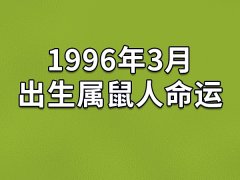 1996年3月出生属鼠人命运