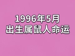 1996年5月出生属鼠人命运