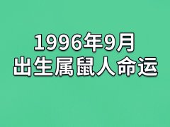 1996年9月出生属鼠人命运