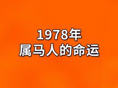 1978年属马人的命运:命运很