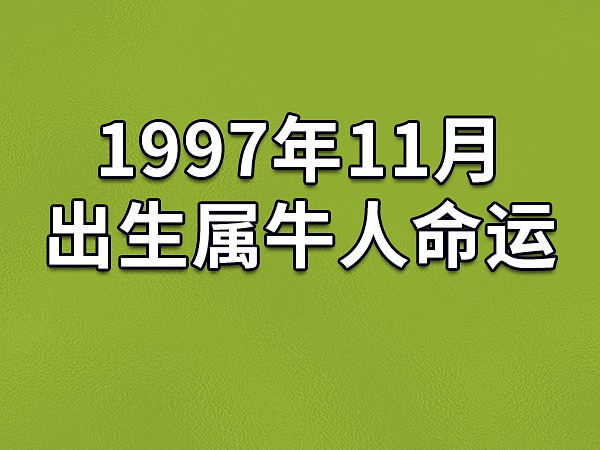 1997年11月出生属牛人命运