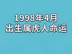 1998年4月出生属虎人命运