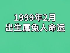 1999年2月出生属兔人命运(农历、爱情、事业运势解析)