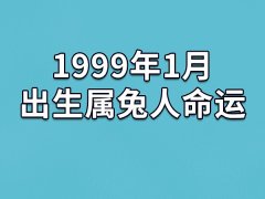 1999年1月出生属兔人命运(农历、爱情、事业运势解析)