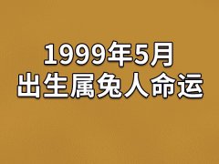 1999年5月出生属兔人命运(农历、爱情、事业运势解析)