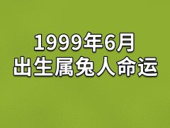 1999年6月出生属兔人命运(农历、爱情、事业运势解析)