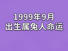 1999年9月出生属兔人命运(农历、爱情、事业运势解析)