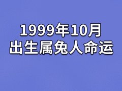 1999年10月出生属兔人命运(农历、爱情、事业运势解析)