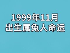 1999年11月出生属兔人命运(农历、爱情、事业运势解析)