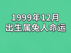 1999年12月出生属兔人命运(农历、爱情、事业运势解析)