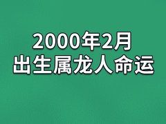 2000年2月出生属龙人命运