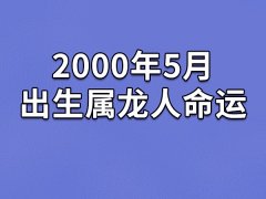 2000年5月出生属龙人命运