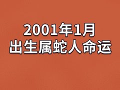 2001年1月出生属蛇人命运