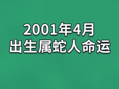 2001年4月出生属蛇人命运