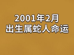 2001年2月出生属蛇人命运