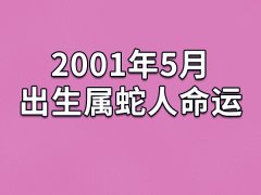 2001年5月出生属蛇人命运