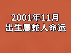 2001年11月出生属蛇人命运