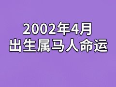 2002年4月出生属马人命运(农历、爱情、事业运势解析)