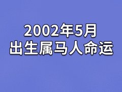 2002年5月出生属马人命运(农历、爱情、事业运势解析)