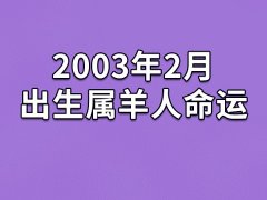 2003年2月出生属羊人命运