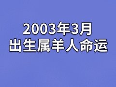 2003年3月出生属羊人命运